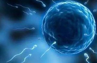 2026年国内第三代试管生子多少钱 做试管生子的医院有哪些？