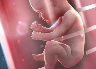 确诊为免疫性不孕能在沈阳市做试管婴儿吗？做三代试管需要多少钱？