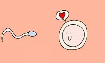 济南公立医院做试管费用明细分享，附上成功率数据供参考！