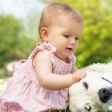 北京三院试管婴儿费用大约多少？为什么有的人多有的人少？