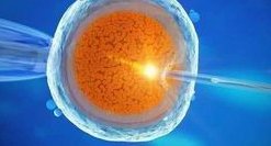 清远有几家医院可以做试管婴儿？成功率和费用详细说明看这里！