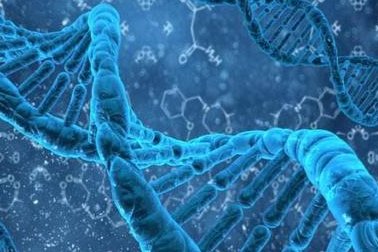 30岁年龄的夫妻做试管适合哪种较好方案？