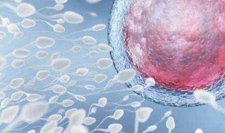 试管婴儿哪个国家好且安全？