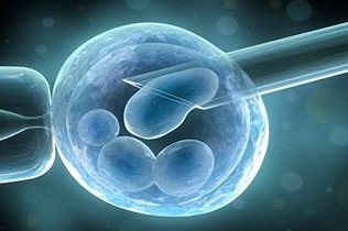 贫血对试管移植有哪些影响？